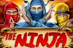 Играть в Ninja Path