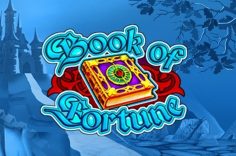 Играть в Book of Fortune